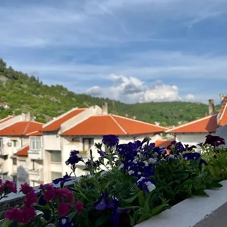 Nest Stolac
