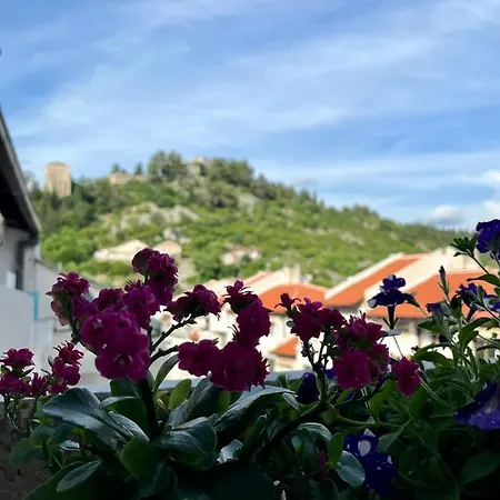 Nest Apartament *